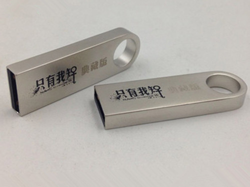 datatraveler se9,mini metal usb flash drives,advertising gifts