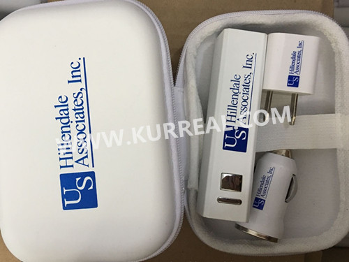 Promotional Custom 2200mAh Power Bank And Wall Charger Gift Sets For US Hillendale Associates Insurance Company