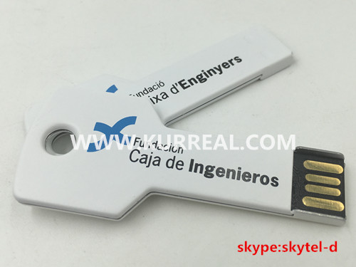 key usb flash drives,financial and banking companies gifts,key usb giveaways