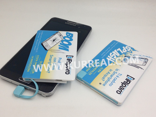 credit card power banks 2500mah,giveaways for italy iriparo employees,consumer electronic companies gifts