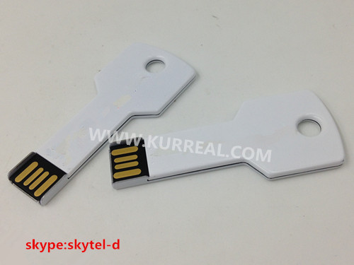 key usb sticks,key shaped corporate gifts,key usb souvenirs